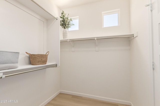 1879 W 23rd Ave, Apache Junction, AZ 85120 - spacious closet with light wood-style floors
