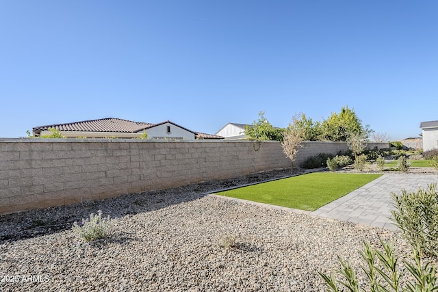 view of yard with a patio