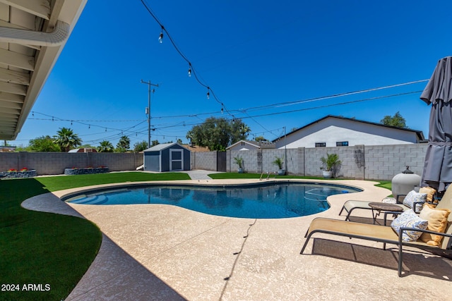 view of swimming pool with a lawn, a patio area, and a storage shed