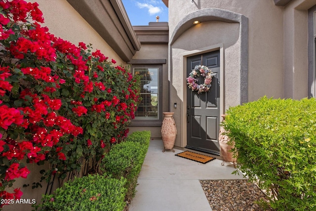 view of exterior entry with stucco siding