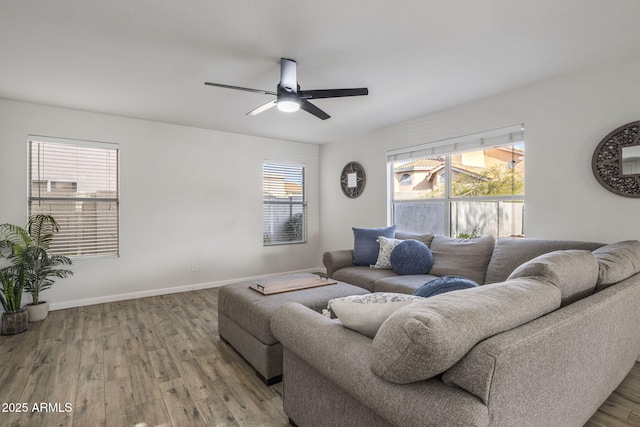 living room with ceiling fan and wood-type flooring