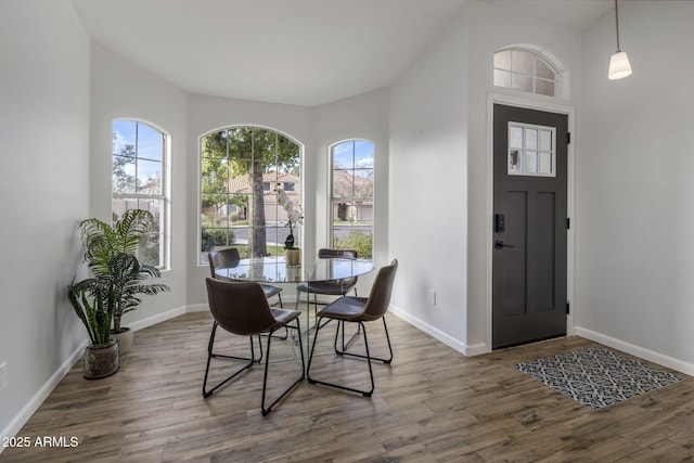 dining space featuring wood-type flooring