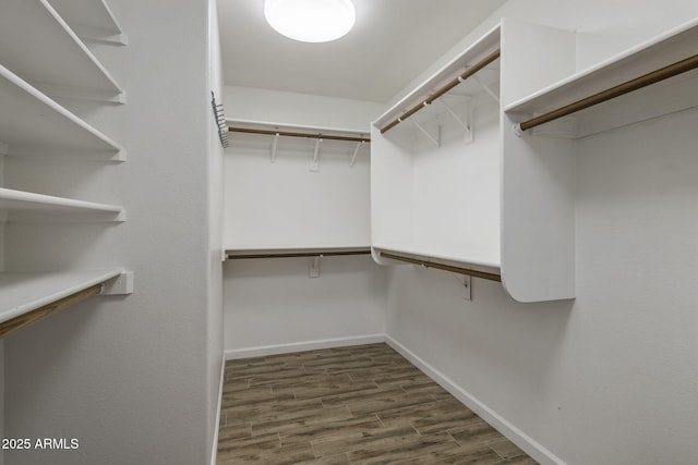 spacious closet featuring dark wood-type flooring