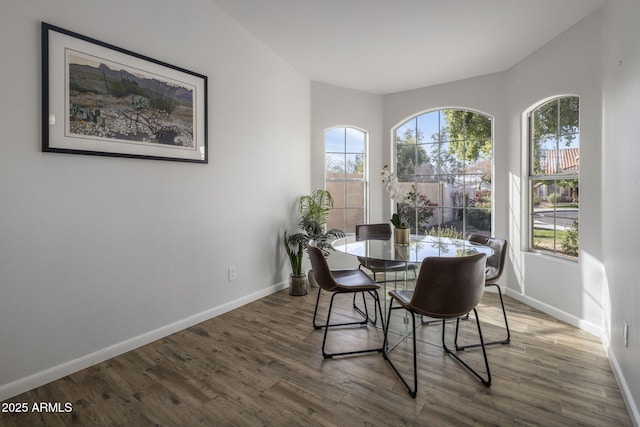 dining space featuring dark wood-type flooring