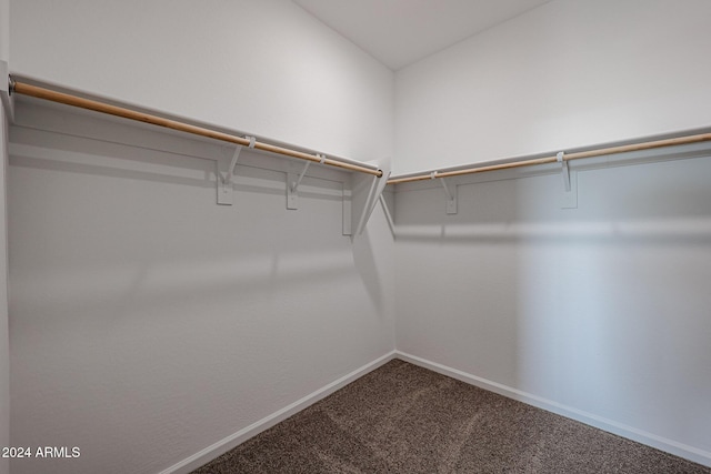 walk in closet with carpet floors