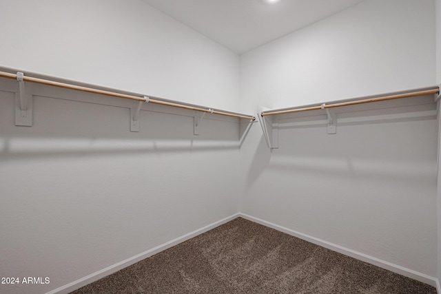 walk in closet featuring carpet flooring and lofted ceiling