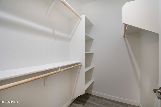 spacious closet with dark wood-type flooring