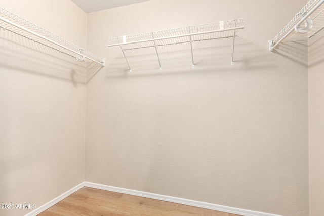 walk in closet featuring light wood-type flooring