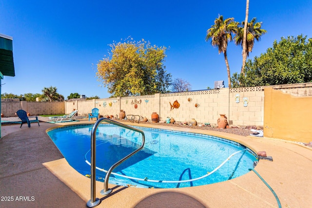 view of pool featuring a patio area and a jacuzzi