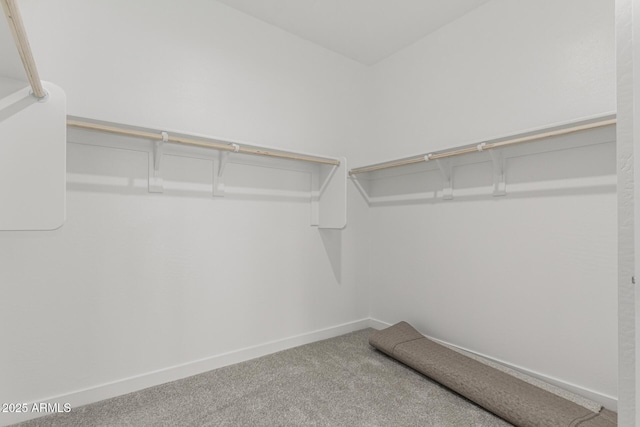 9416 E Sequence Ave, Mesa, AZ 85212 - spacious closet with carpet flooring