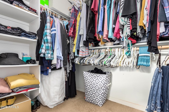 walk in closet with carpet floors