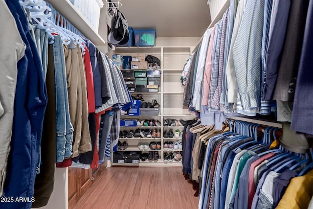 spacious closet featuring wood finished floors