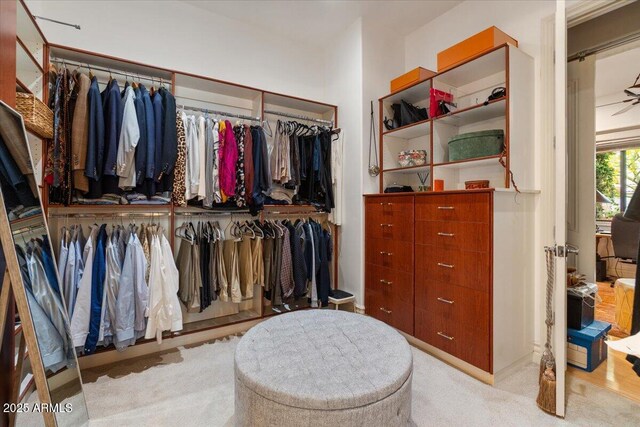 11821 S Tuzigoot Ct, Phoenix, AZ 85044 - spacious closet with carpet