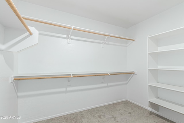 3910 W Goldmine Mountain Dr, San Tan Valley, AZ 85144 - spacious closet with carpet floors