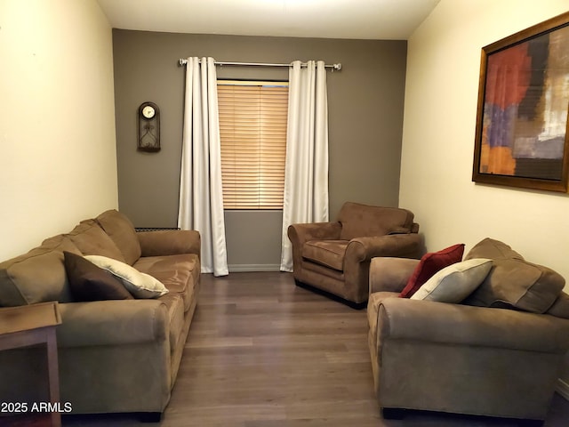 2101 S Meridian Rd Unit 437, Apache Junction, AZ 85120 - living area with dark wood-type flooring