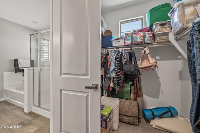 view of walk in closet