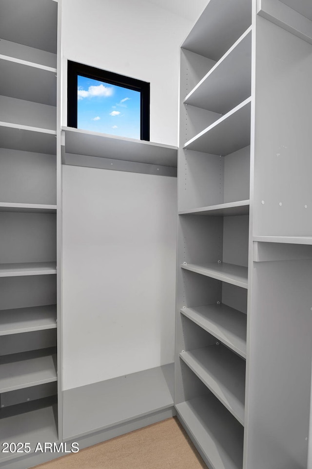 10354 E Celestial Dr, Scottsdale, AZ 85262 - walk in closet with carpet flooring