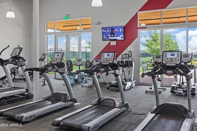 workout area featuring carpet flooring