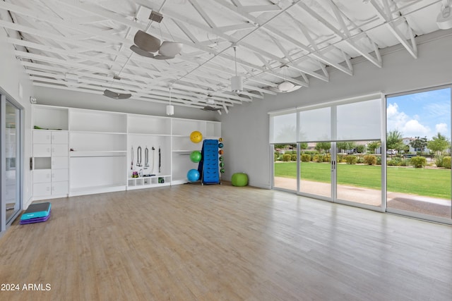 workout room featuring hardwood / wood-style flooring and a wealth of natural light