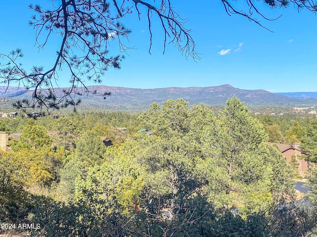 509 N Grapevine Dr ;, Unit Payson AZ, 85541 land for sale