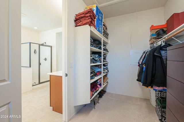 walk in closet with light colored carpet