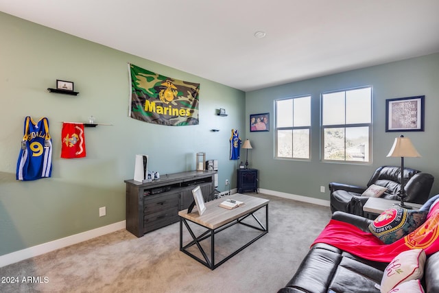 living room featuring light colored carpet