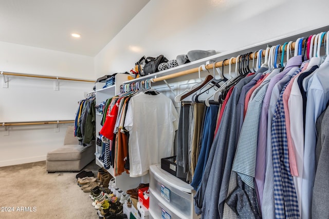 walk in closet with light colored carpet