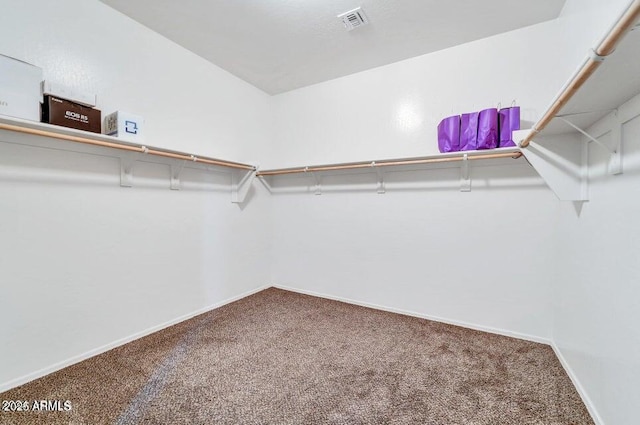 spacious closet featuring carpet flooring