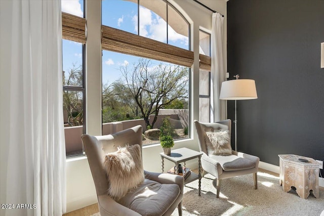 sitting room with plenty of natural light