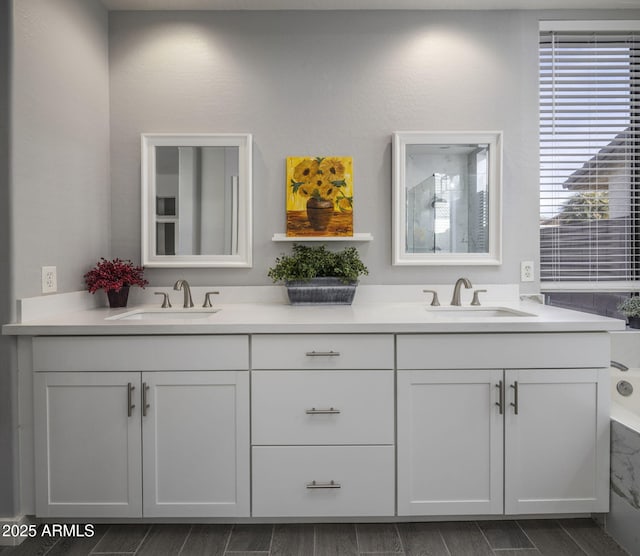 bathroom with vanity and a bathing tub