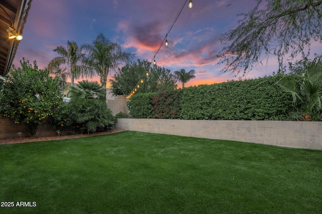 view of yard at dusk