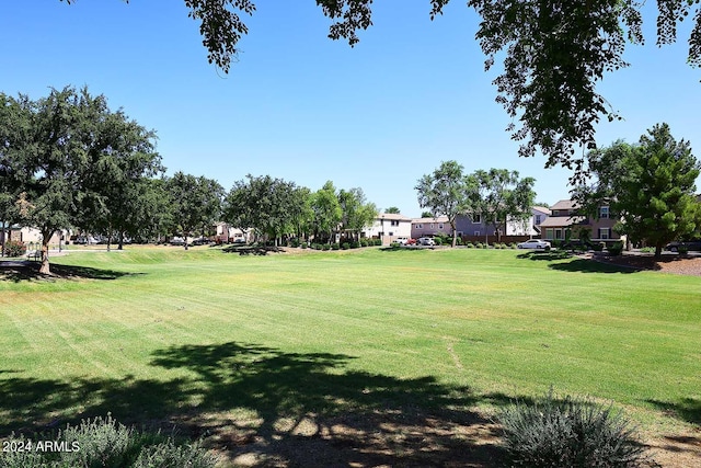 view of property's community featuring a yard