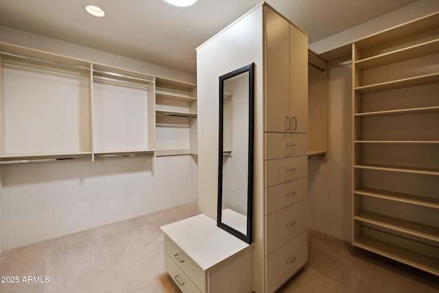 walk in closet with light colored carpet