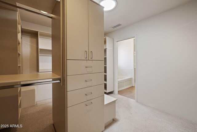 spacious closet with light colored carpet and visible vents