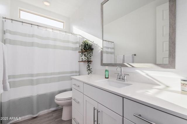 bathroom featuring vanity, toilet, and wood-type flooring