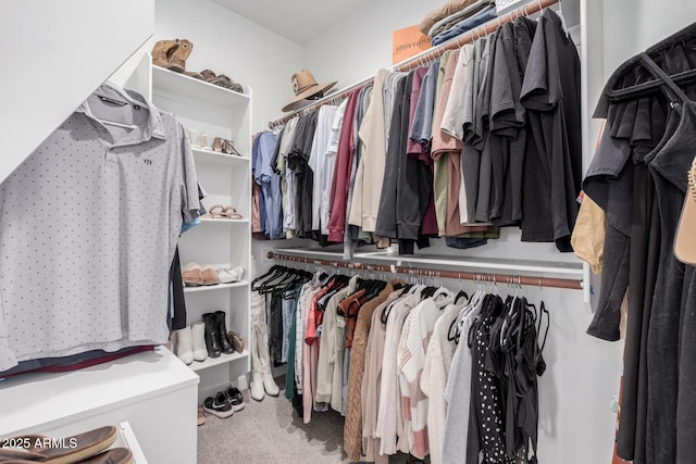 walk in closet featuring carpet flooring