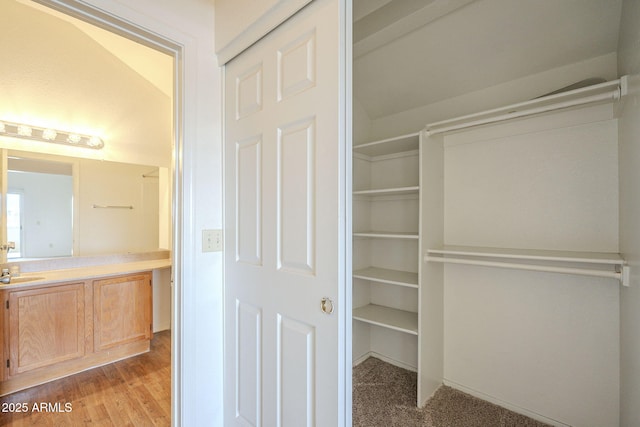 closet with a sink