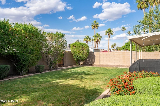 2418 E Hermosa Dr, Tempe, AZ 85282 - view of yard