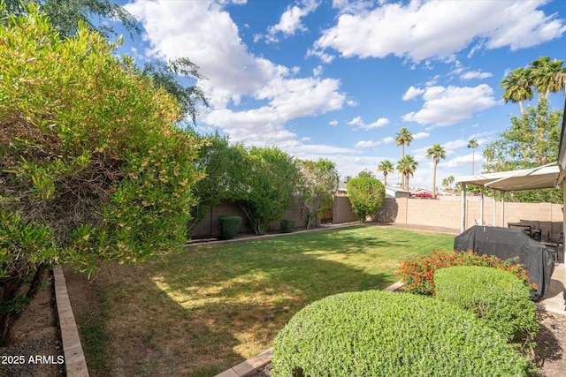 2418 E Hermosa Dr, Tempe, AZ 85282 - view of yard