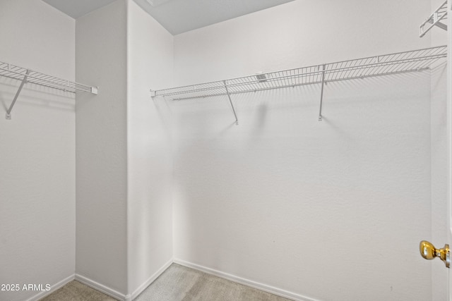 2327 E Meadow Creek Way, San Tan Valley, AZ 85140 - spacious closet featuring light carpet