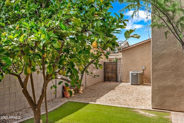 2327 E Meadow Creek Way, San Tan Valley, AZ 85140 - view of yard with central AC unit and a gate