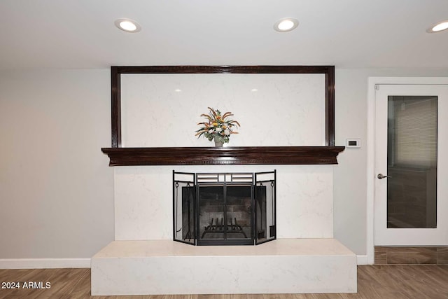 details featuring a fireplace and wood-type flooring