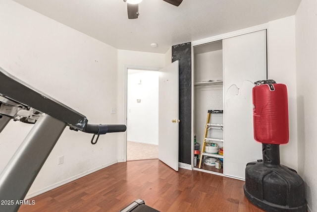 2202 S Lawther Dr, Apache Junction, AZ 85120 - workout room with wood finished floors and a ceiling fan