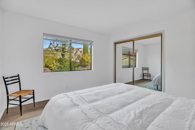 bedroom with baseboards, wood finished floors, and a closet