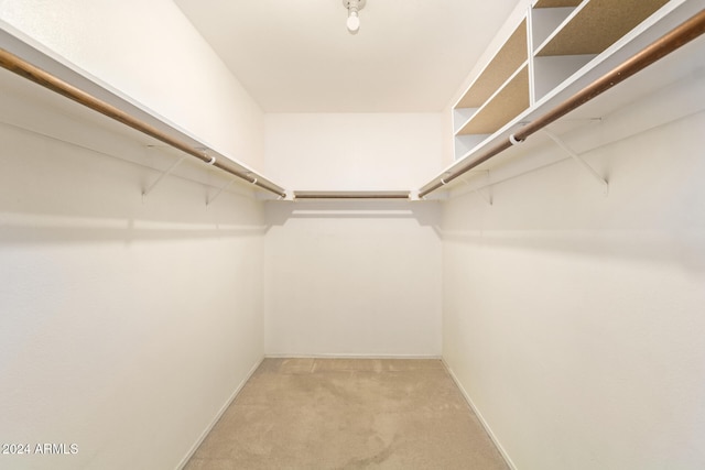 spacious closet featuring carpet flooring