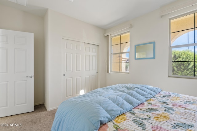 carpeted bedroom with a closet