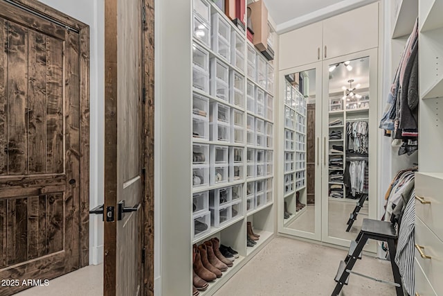 view of spacious closet