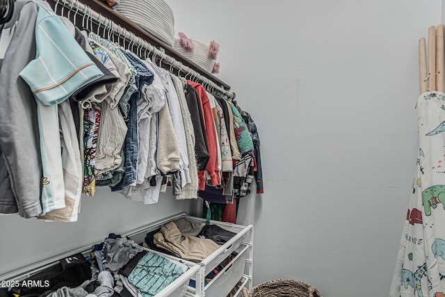 view of walk in closet