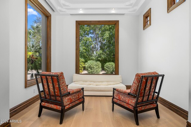 living area with light wood-type flooring and a tray ceiling