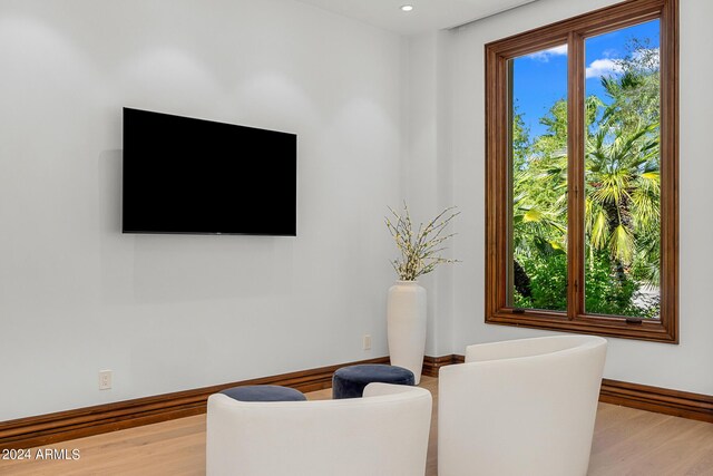 sitting room featuring a healthy amount of sunlight and light hardwood / wood-style floors